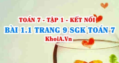 Bài 1.1 trang 9 SGK Toán 7 tập 1 Kết nối tri thức